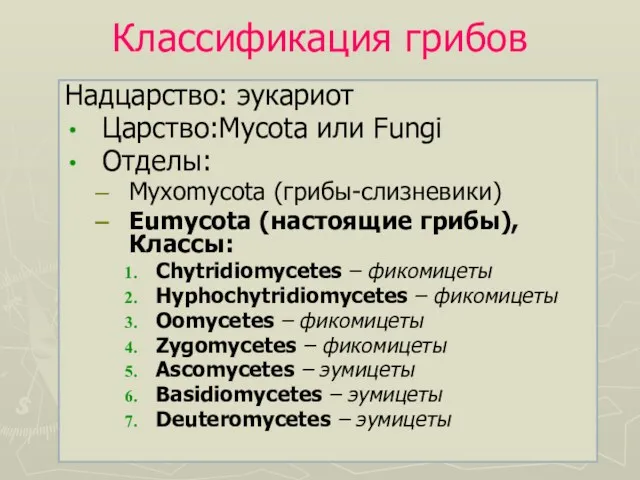 Классификация грибов Надцарство: эукариот Царство:Mycota или Fungi Отделы: Myxomycota (грибы-слизневики) Eumycota (настоящие грибы),