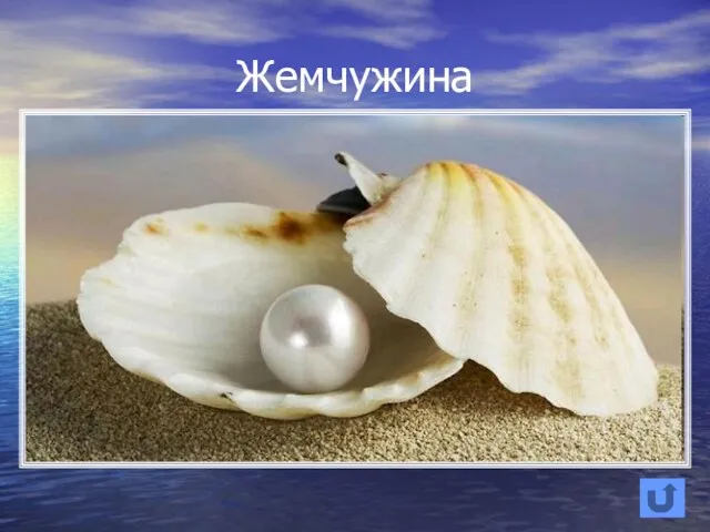 Жемчужина