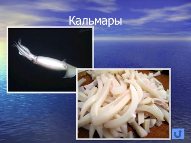 Кальмары