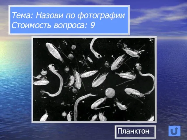 Тема: Назови по фотографии Стоимость вопроса: 9 Планктон