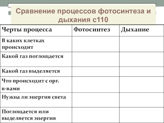 Сравнение процессов фотосинтеза и дыхания с110