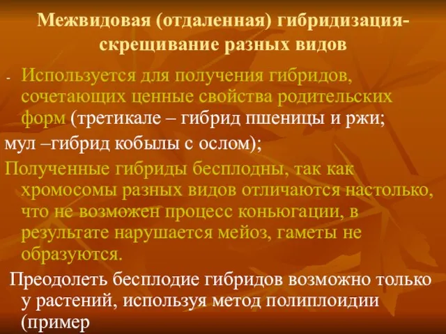 Межвидовая (отдаленная) гибридизация-скрещивание разных видов Используется для получения гибридов, сочетающих