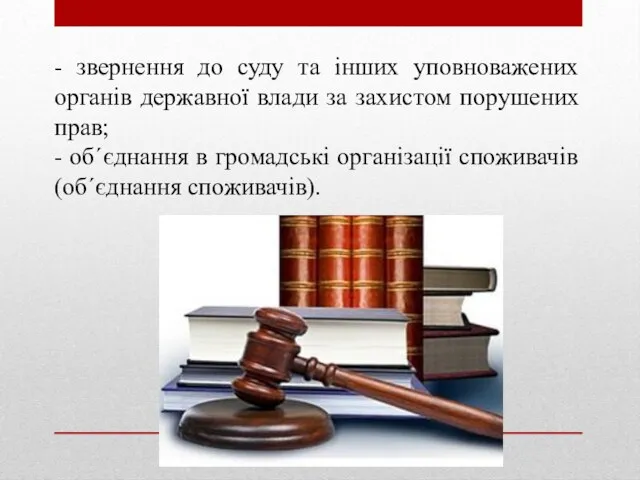 - звернення до суду та інших уповноважених органів державної влади