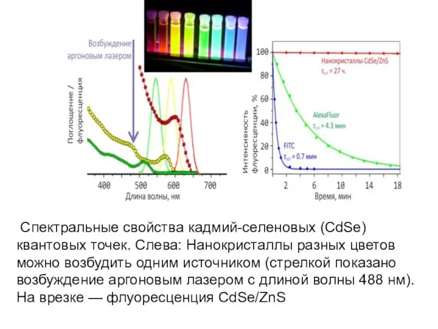 Спектральные свойства кадмий-селеновых (CdSe) квантовых точек. Слева: Нанокристаллы разных цветов