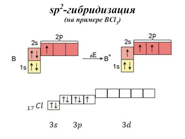 sp2-гибридизация (на примере BCl3)