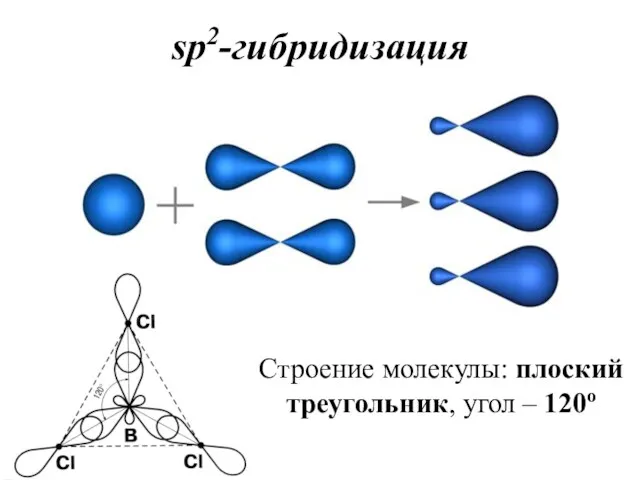 sp2-гибридизация Строение молекулы: плоский треугольник, угол – 120о