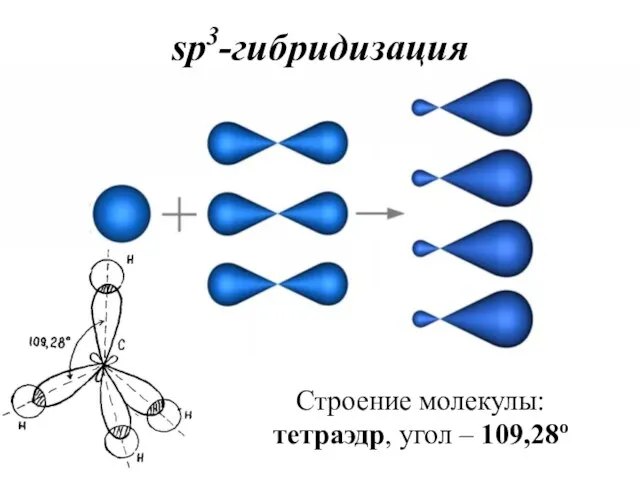 sp3-гибридизация Строение молекулы: тетраэдр, угол – 109,28о