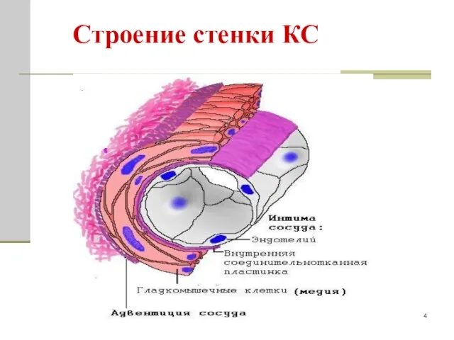 Строение стенки КС