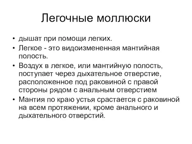 Легочные моллюски дышат при помощи легких. Легкое - это видоизмененная