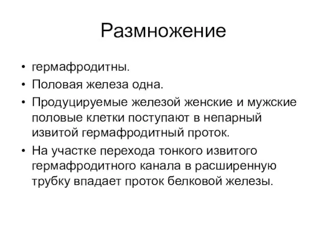 Размножение гермафродитны. Половая железа одна. Продуцируемые железой женские и мужские