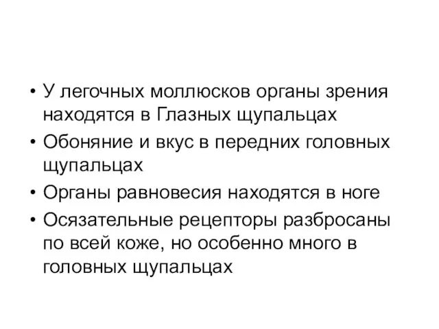 У легочных моллюсков органы зрения находятся в Глазных щупальцах Обоняние