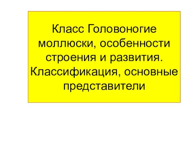 Класс Головоногие моллюски, особенности строения и развития. Классификация, основные представители