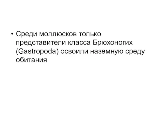 Среди моллюсков только представители класса Брюхоногих (Gastropoda) освоили наземную среду обитания