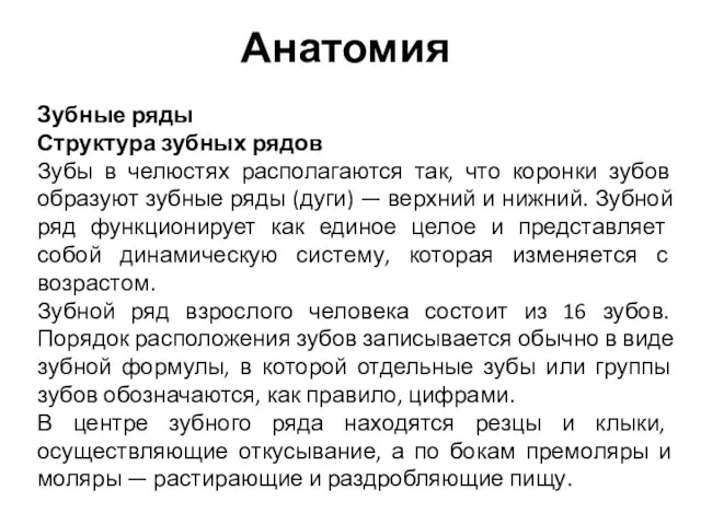 Анатомия Зубные ряды Структура зубных рядов Зубы в челюстях располагаются так, что коронки