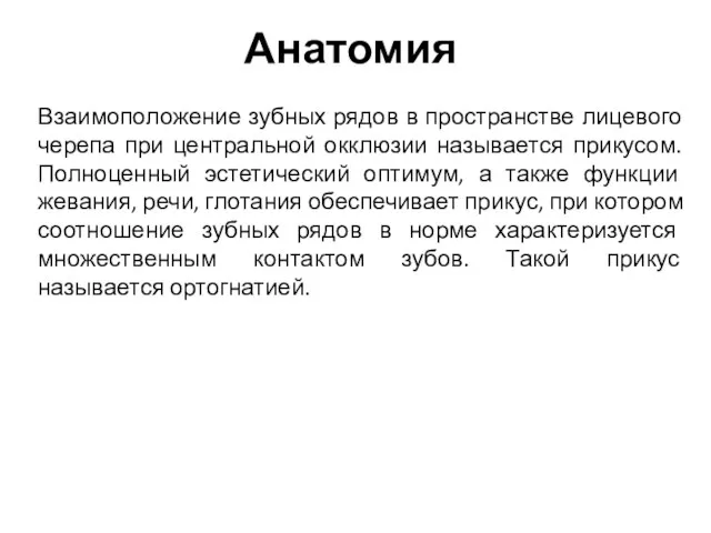 Анатомия Взаимоположение зубных рядов в пространстве лицевого черепа при центральной