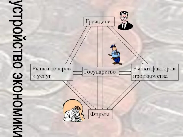 устройство экономики Граждане Государство Фирмы Рынки товаров и услуг Рынки факторов производства