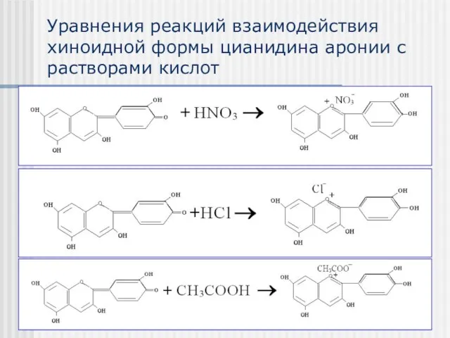 Уравнения реакций взаимодействия хиноидной формы цианидина аронии с растворами кислот
