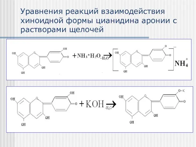 Уравнения реакций взаимодействия хиноидной формы цианидина аронии с растворами щелочей