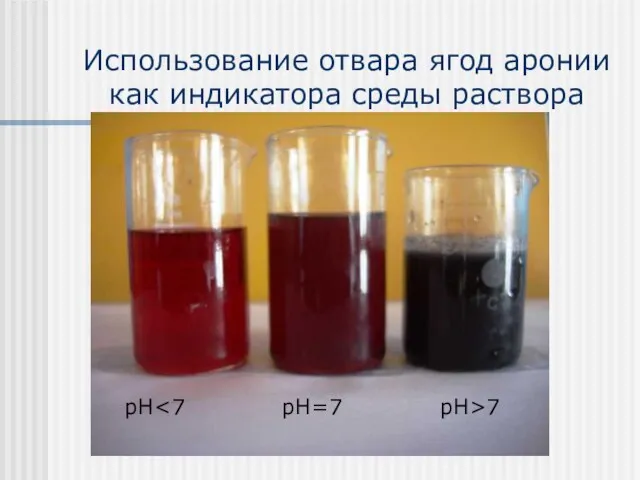 Использование отвара ягод аронии как индикатора среды раствора pH 7