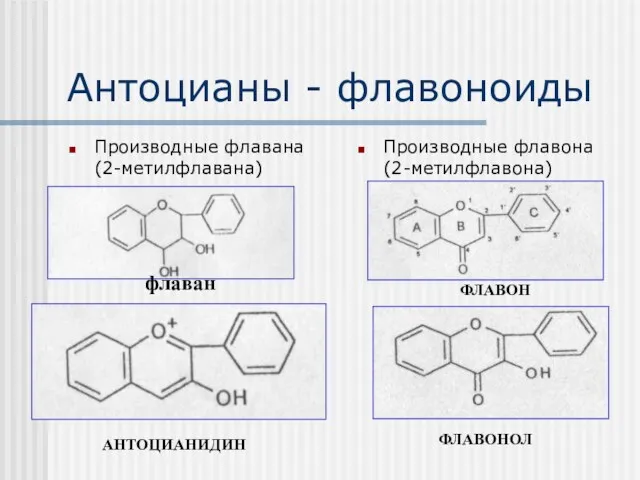 Антоцианы - флавоноиды Производные флавана (2-метилфлавана) Производные флавона (2-метилфлавона) флаван АНТОЦИАНИДИН ФЛАВОН ФЛАВОНОЛ