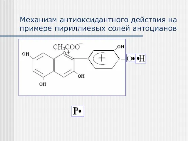 Механизм антиоксидантного действия на примере пириллиевых солей антоцианов