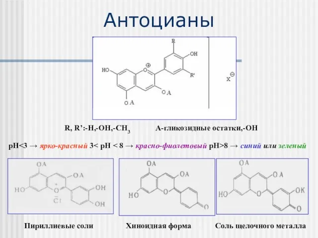 Антоцианы R, R’:-H,-OH,-CH3 A-гликозидные остатки,-OH рН 8 → синий или