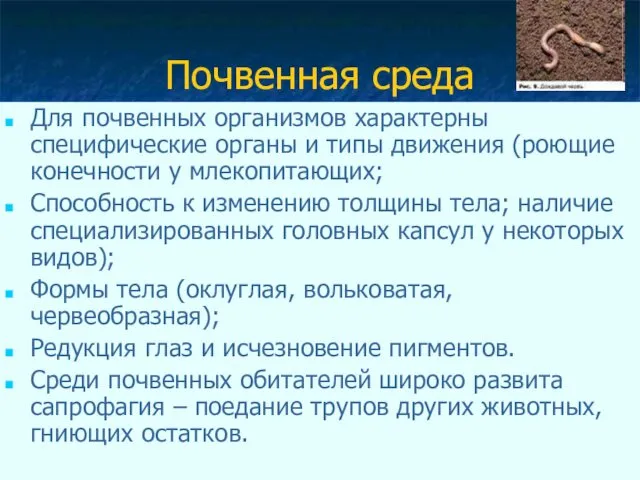 Почвенная среда Для почвенных организмов характерны специфические органы и типы