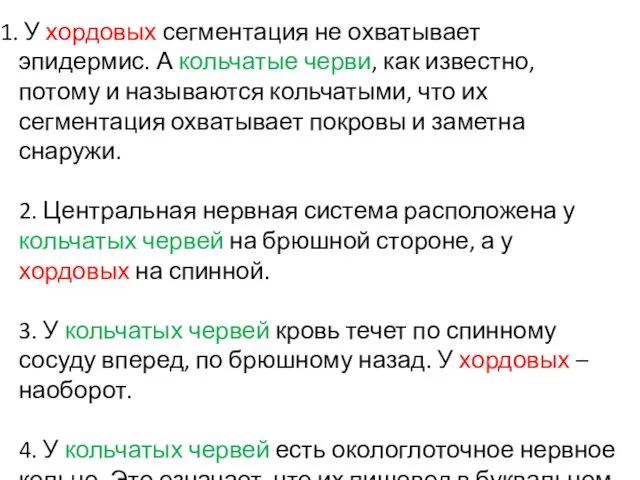 У хордовых сегментация не охватывает эпидермис. А кольчатые черви, как