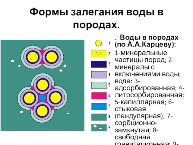 Формы залегания воды в породах. . Воды в породах (по