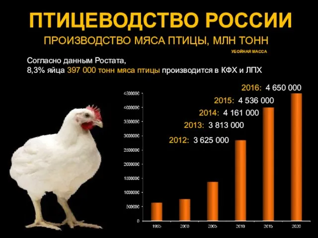 ПТИЦЕВОДСТВО РОССИИ ПРОИЗВОДСТВО МЯСА ПТИЦЫ, МЛН ТОНН 2013: 3 813