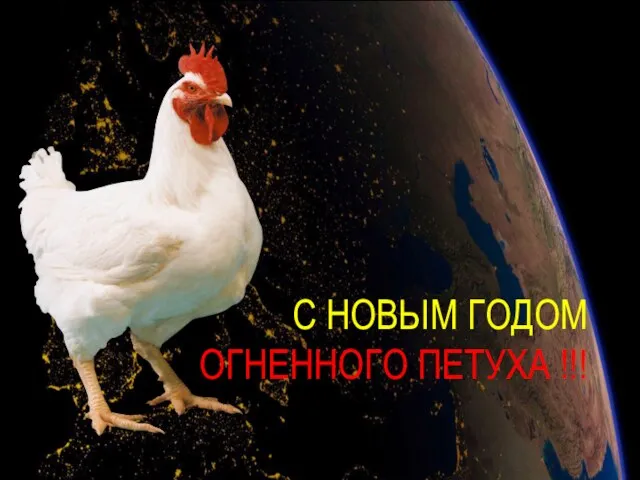 С НОВЫМ ГОДОМ ОГНЕННОГО ПЕТУХА !!!