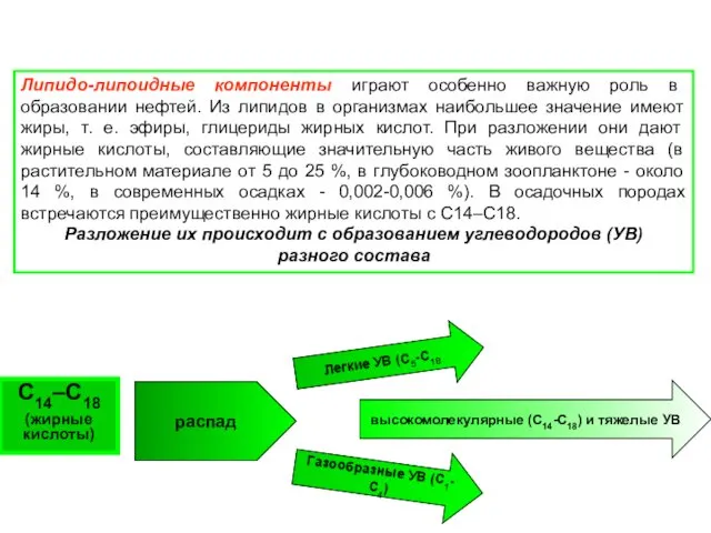 Липидо-липоидные компоненты играют особенно важную роль в образовании нефтей. Из липидов в организмах