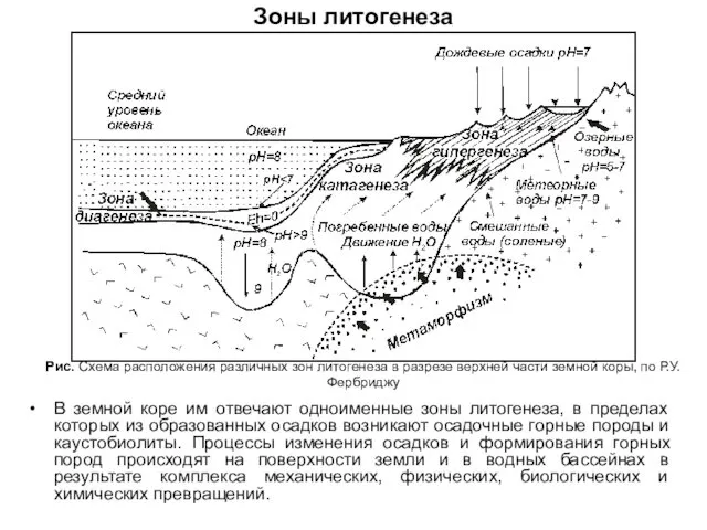 Зоны литогенеза В земной коре им отвечают одноименные зоны литогенеза,