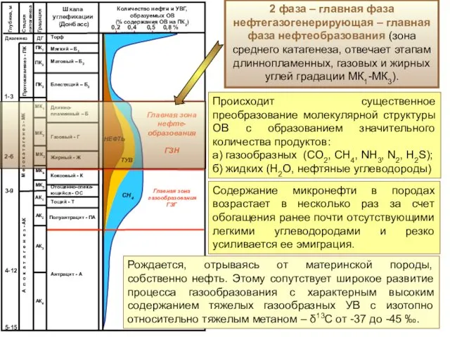2 фаза – главная фаза нефтегазогенерирующая – главная фаза нефтеобразования