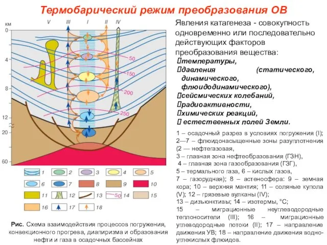 1 – осадочный разрез в условиях погружения (I); 2—7 –