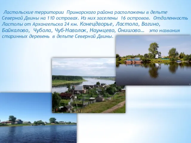 Ластольские территории Приморского района расположены в дельте Северной Двины на