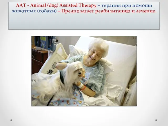 ААТ - Animal (dog) Assisted Therapy – терапия при помощи