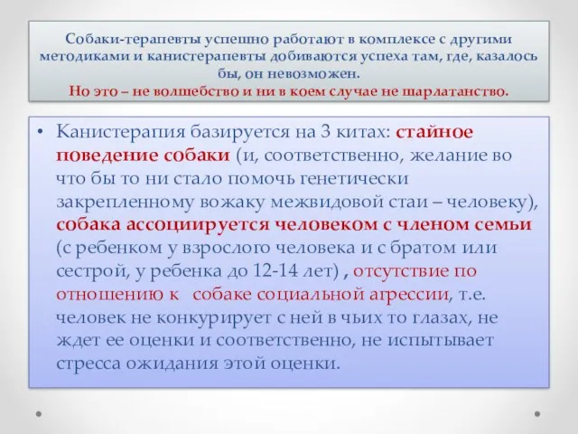 Собаки-терапевты успешно работают в комплексе с другими методиками и канистерапевты