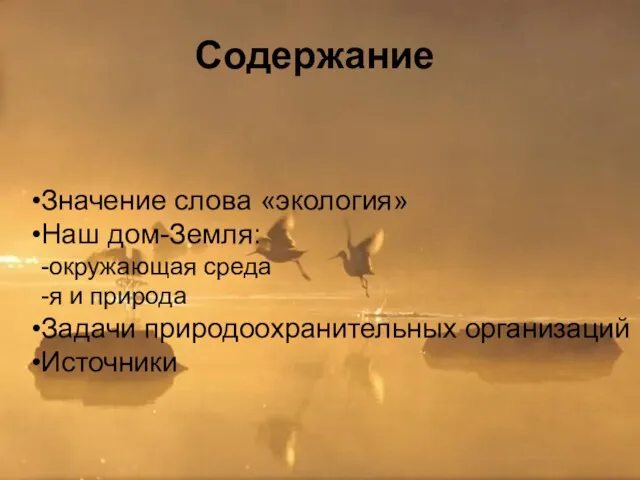 Cодержание Значение слова «экология» Наш дом-Земля: -окружающая среда -я и природа Задачи природоохранительных организаций Источники