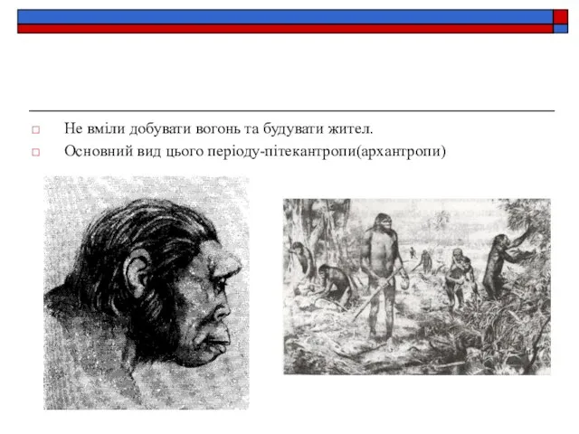 Не вміли добувати вогонь та будувати жител. Основний вид цього періоду-пітекантропи(архантропи)