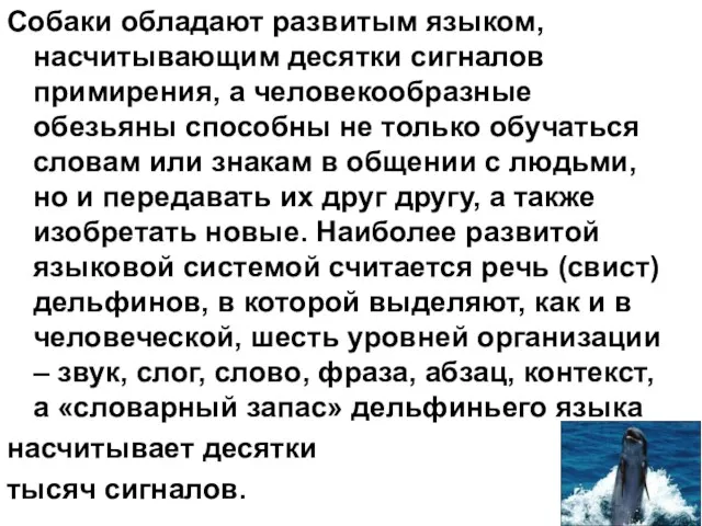 Собаки обладают развитым языком, насчитывающим десятки сигналов примирения, а человекообразные