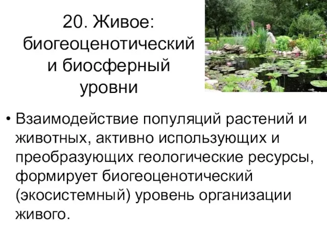 20. Живое: биогеоценотический и биосферный уровни Взаимодействие популяций растений и