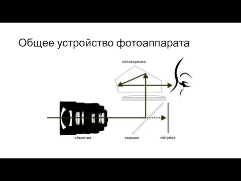 Общее устройство фотоаппарата