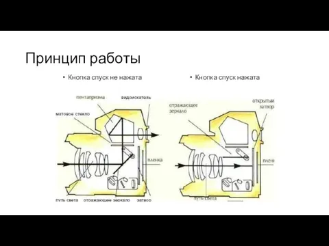 Принцип работы Кнопка спуск не нажата Кнопка спуск нажата