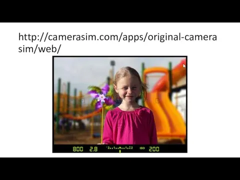 http://camerasim.com/apps/original-camerasim/web/