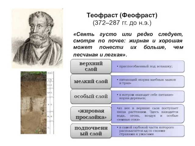 Теофраст (Феофраст) (372–287 гг. до н.э.) «Сеять густо или редко