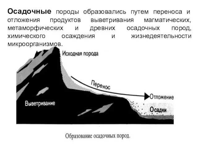 Осадочные породы образовались путем переноса и отложения продуктов выветривания магматических,