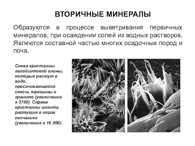 ВТОРИЧНЫЕ МИНЕРАЛЫ Образуются в процессе выветривания первичных минералов, при осаждении