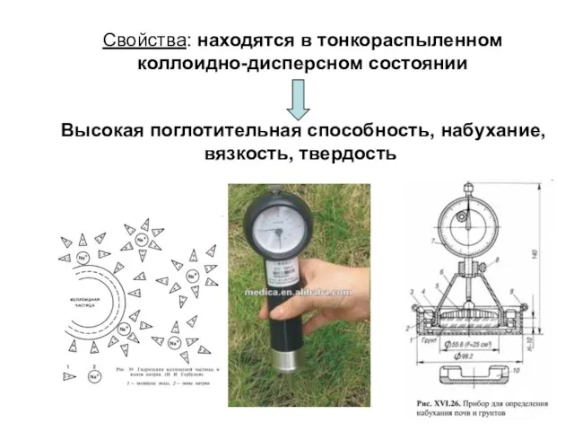 Свойства: находятся в тонкораспыленном коллоидно-дисперсном состоянии Высокая поглотительная способность, набухание, вязкость, твердость