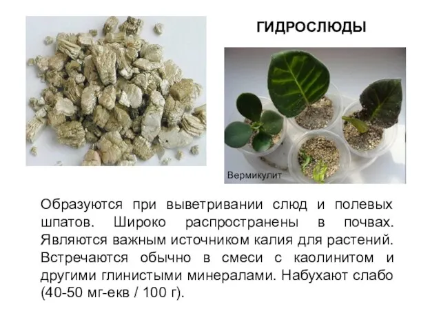 Образуются при выветривании слюд и полевых шпатов. Широко распространены в